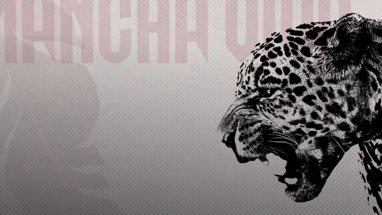 Jaguar — Mancha Viva