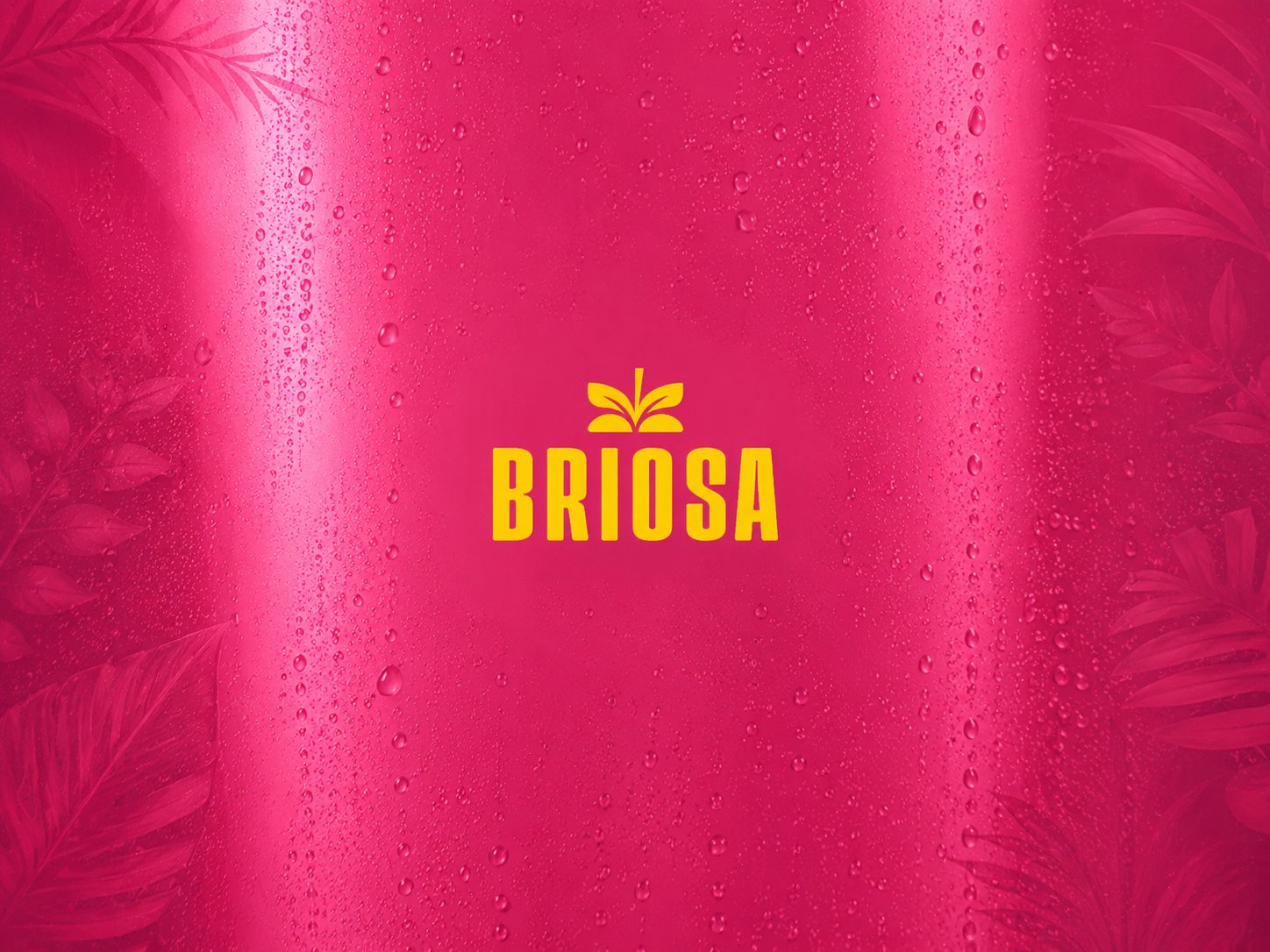 Briosa — Branding / Motion Graphic